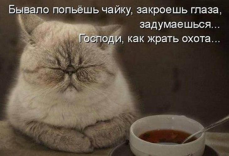 Ликероводочному заводу срочно требуется грузчик без рта. анекдоты,веселье,демотиваторы,приколы,смех,юмор