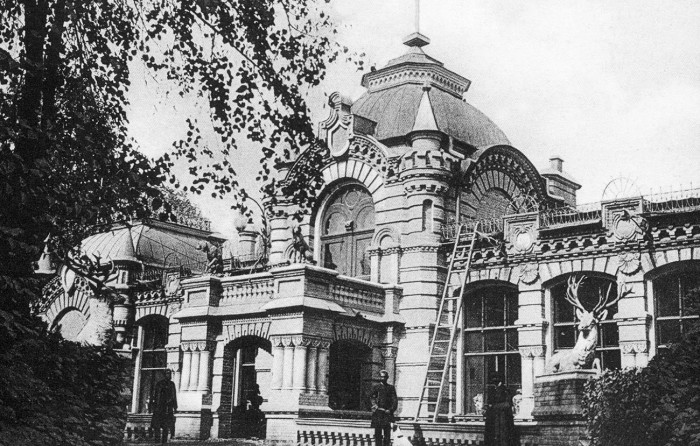 Кто был объявлен сумасшедшим из династии Романовых