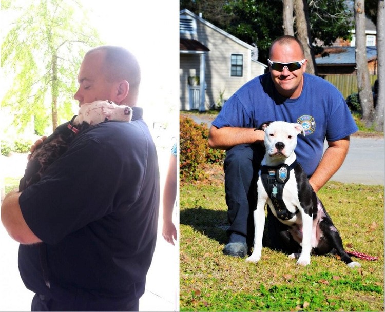 15 историй спасения животных, которые выражают настолько искреннюю благодарность своим спасителям, что даже самое чёрствое сердце растает 15 историй спасения животных, которые выражают настолько искреннюю благодарность своим спасителям, что даже самое чёрствое сердце растает