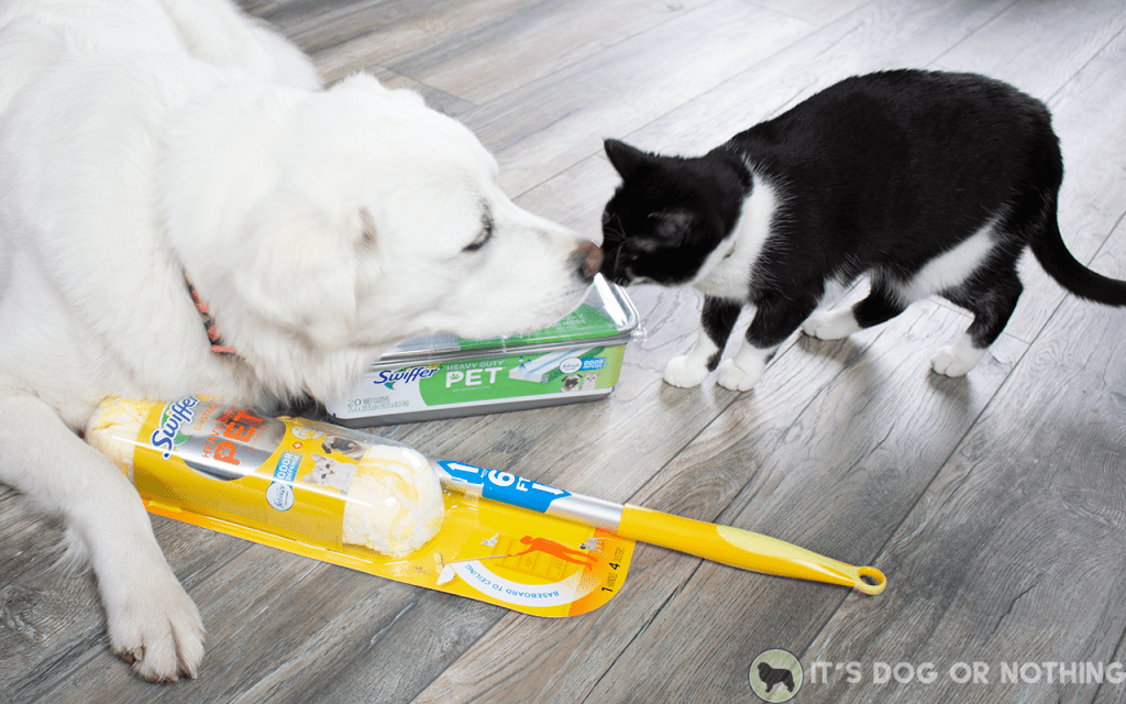 3 Great Pyrenees + 1 cat + PNW weather = disaster. Here's how we stop the shedding from spreading and keep the house (somewhat) presentable.