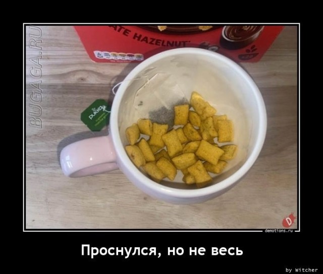 Демотиваторы для всех: «Проснулся, но не весь…» Демотиваторы для всех: «Проснулся, но не весь…»