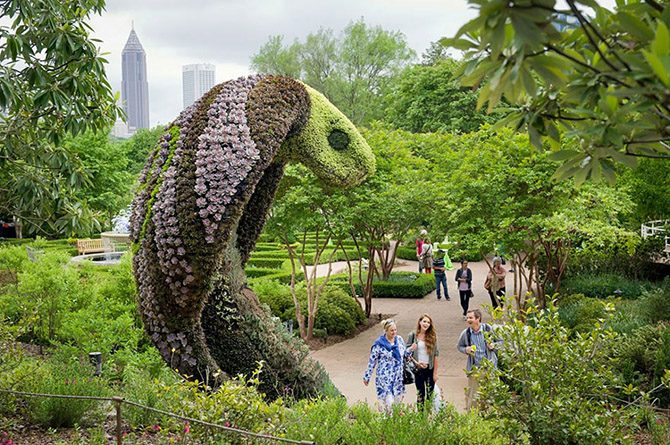 Ботанические сады Атланты и их восхитительные растительные фигуры Атланта,ботанические сады,искусство,США