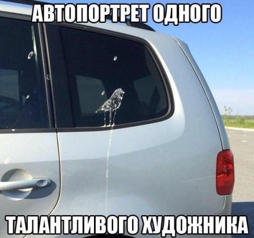 АВТОприкольные картинки на Бугаге (17 шт)