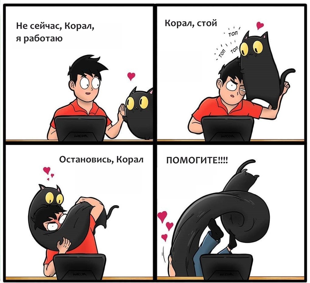 12 комиксов, доказывающих, что жизнь с котом – это настоящее испытание котики,юмор