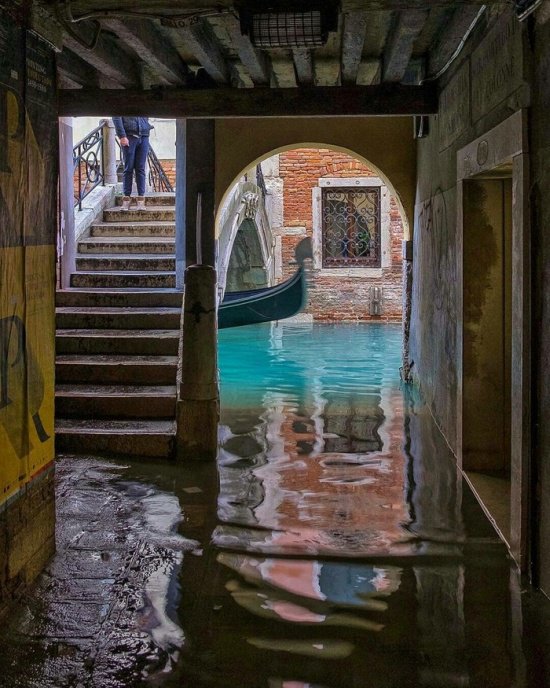 Фотоподборка среды Фотоподборка среды юмор