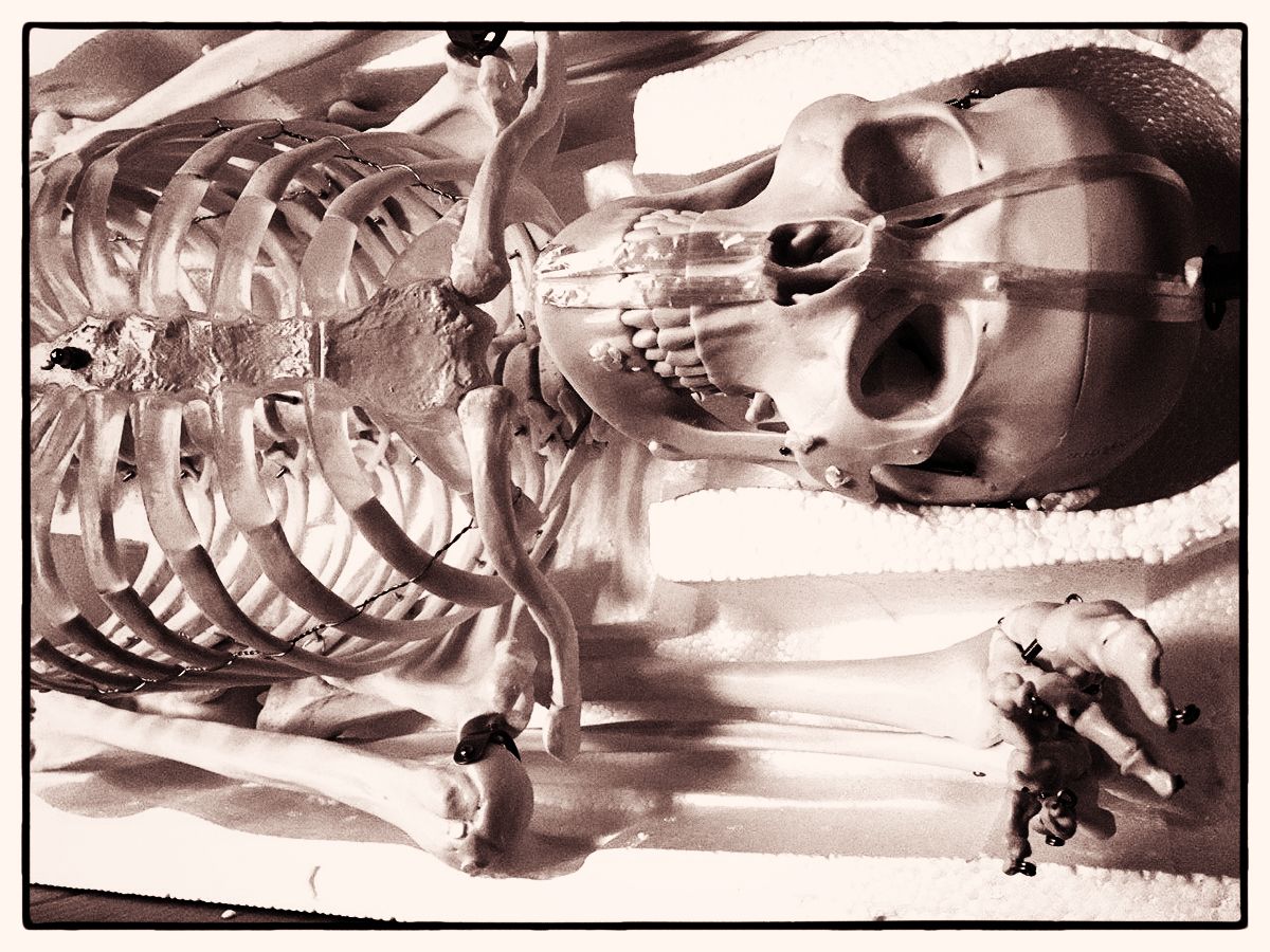 Мединский скелеты в шкафу
