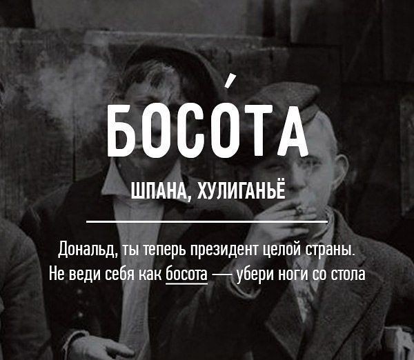 Редкие бранные слова русского языка (20 фото)