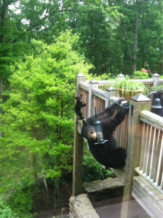 Прикольные картинки и забавные фото приколы из нашей жизни со смыслом красивые фотографии,приколы,фото приколы,шикарные фотографии,юмор