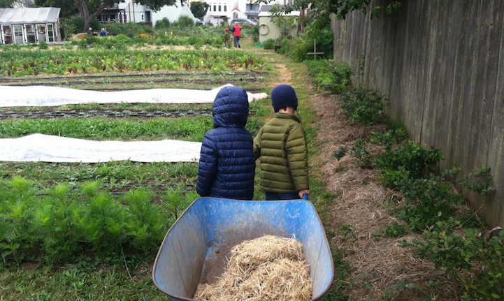 В Сан-Франциско открылась инновационная школа, где детей учат выращивать себе еду
