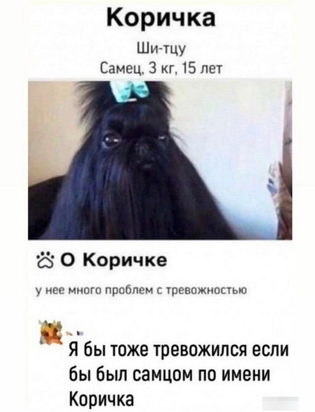 Шутки и мемы из Сети  