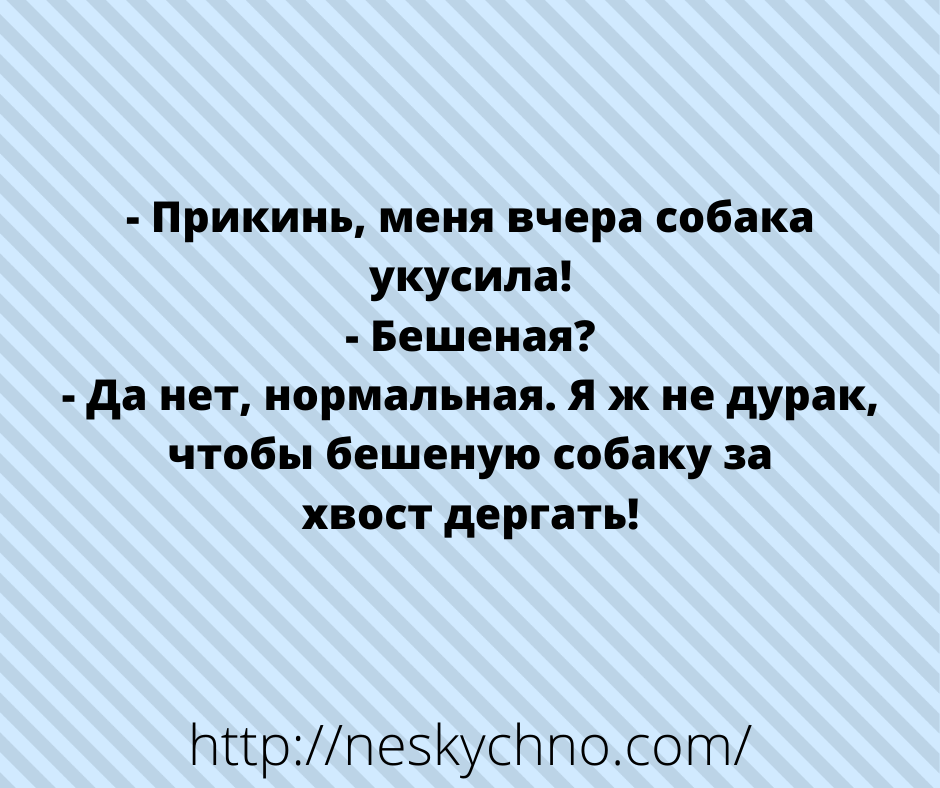 Уморительные анекдоты. Веселья много не бывает Уморительные анекдоты. Веселья много не бывает