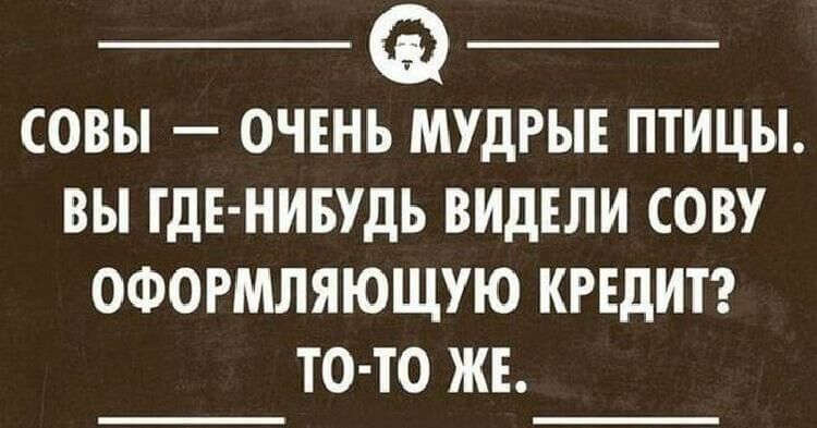 Подборка метких высказываний, которые подарят вам позитивный настрой 