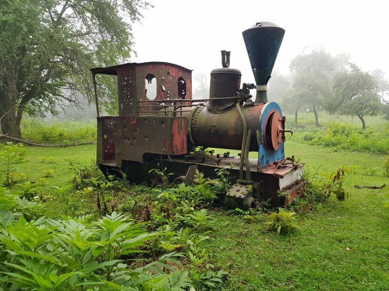 История маленького паровозика. Абхазия ж/д транспорт,ретро