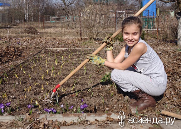 Оригинальные советы огороднику. Часть 5 советы