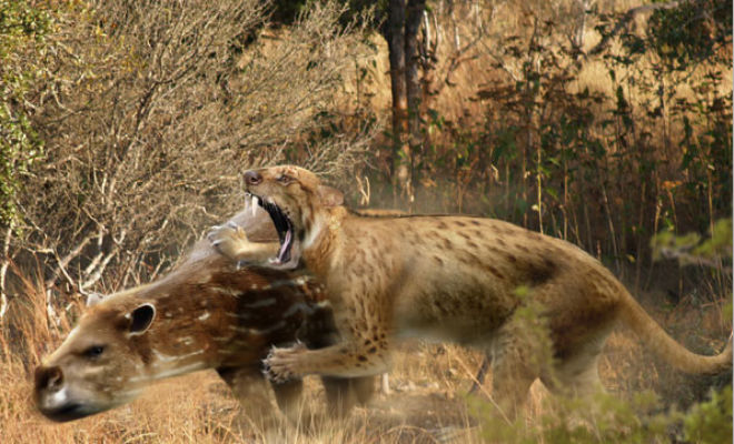 Как выглядели кошки 10 тысяч лет назад