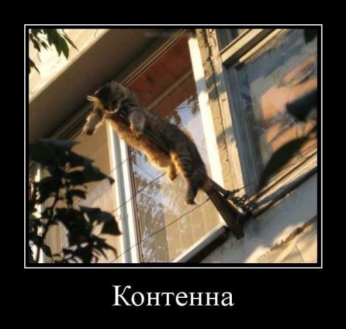 Новая порция демотиваторов (12 фото)