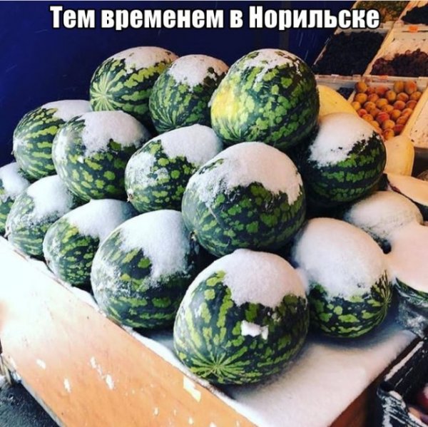 Ð¤Ð¾ÑÐ¾Ð¿Ð¾Ð´Ð±Ð¾ÑÐºÐ°