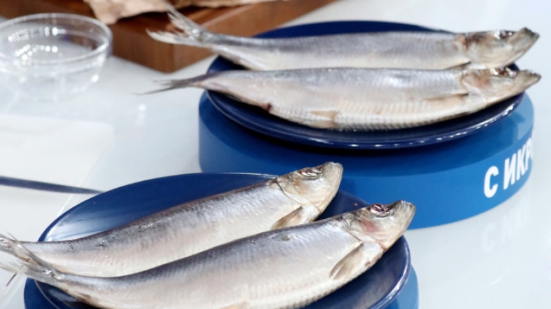Диетолог Бобровский перечислил три недорогих сорта рыбы для осеннего рациона