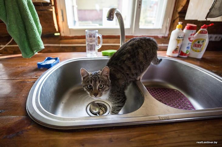 «Вложил сюда все свои сбережения». Как один человек возрождает деревню на Голубых озерах 