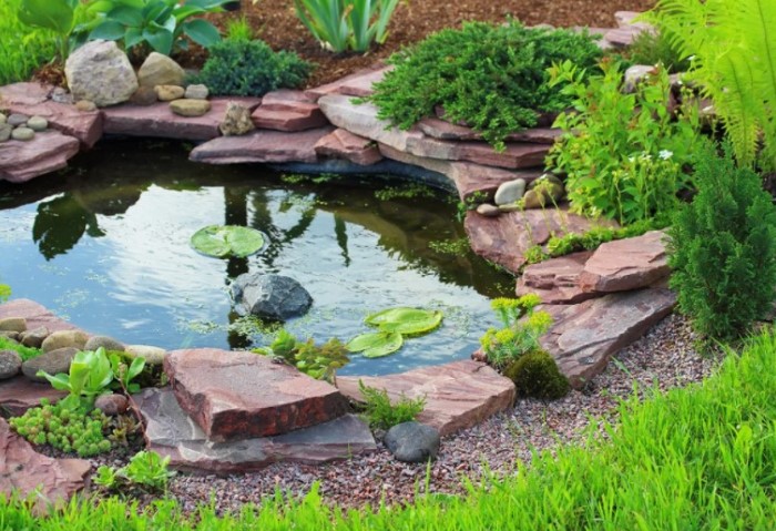 7 вариантов декоративных водоемов, которые можно обустроить на участке дача,ландшафтный дизайн,сад и огород
