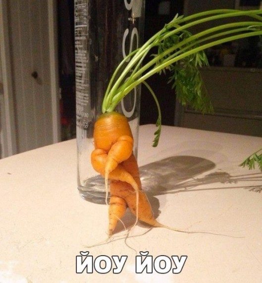 Когда природа тоже любит пошутить Когда природа тоже любит пошутить