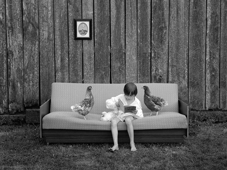 Черно-белая идиллия 