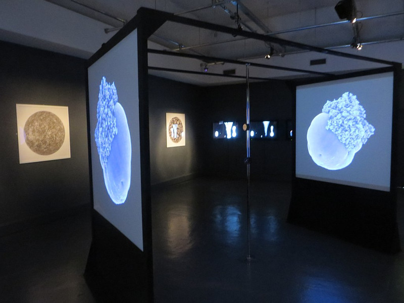 Еще один пример - Morphogenetic Creations, компьютерная выставка цифрового искусства с использованием программируемых алгоритмов Энди Ломаса, в Центре искусств Watermans, Лондон.