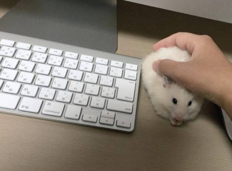 Подборка смешных картинок Подборка смешных картинок приколы,смешные картинки,юмор