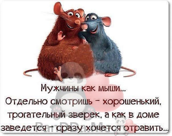 Очередная подборка из 15 добрых и смешных историй спешит порадовать вас Очередная подборка из 15 добрых и смешных историй спешит порадовать вас