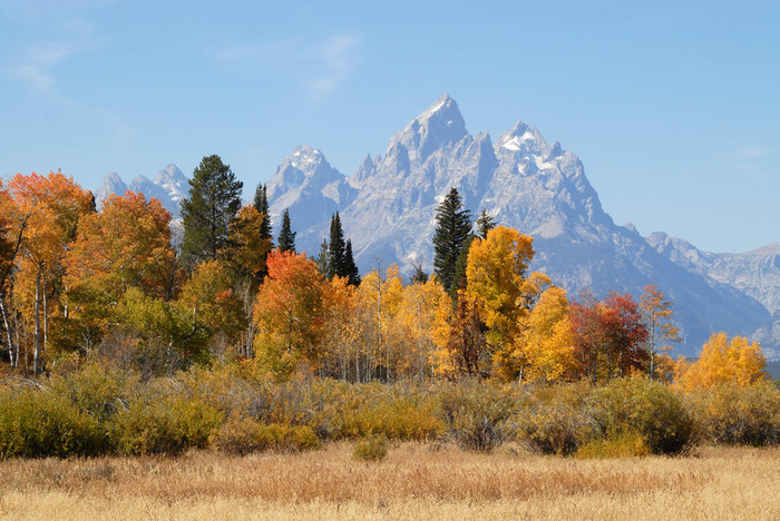 Осеннее настроение Осеннее настроение настроение,осень,позитив,природа