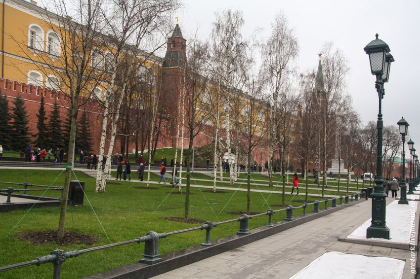 Москва, прогулка, критика, улица