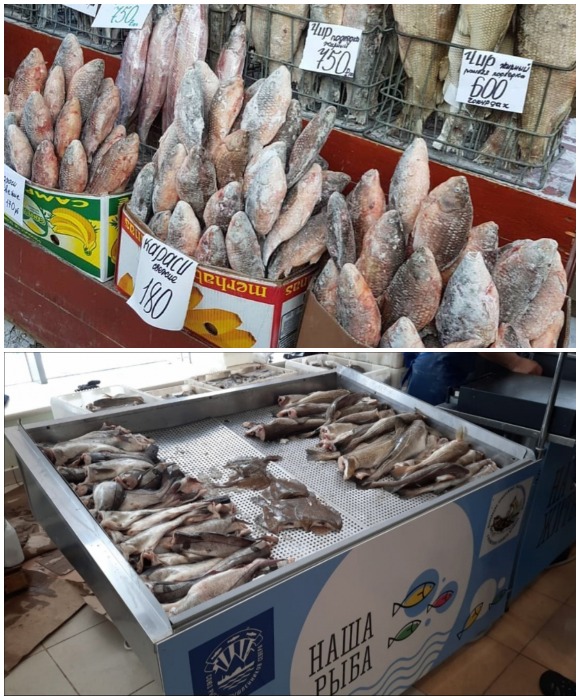 Изобилие свежемороженой рыбы на прилавках рынков и магазинов может только порадовать.