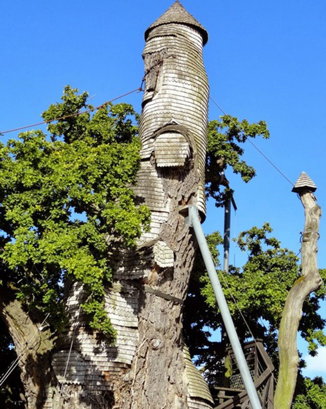 5 необычных сооружений в гигантских деревьях Источник, внутри, Sunland, Baobab, огромных, небольшой, дерева, которых, тысяч, несколько, этого, архитектуры, Патрика, баобаба, качестве, Конечно, только, специально, существует, Chandelier