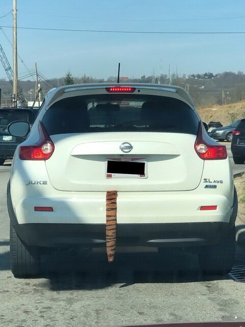 Автоюмор на утро Автоюмор на утро авто,автомобили,автомобилист,автомобилисты,автомобиль,машины,приколы,фото,юмор