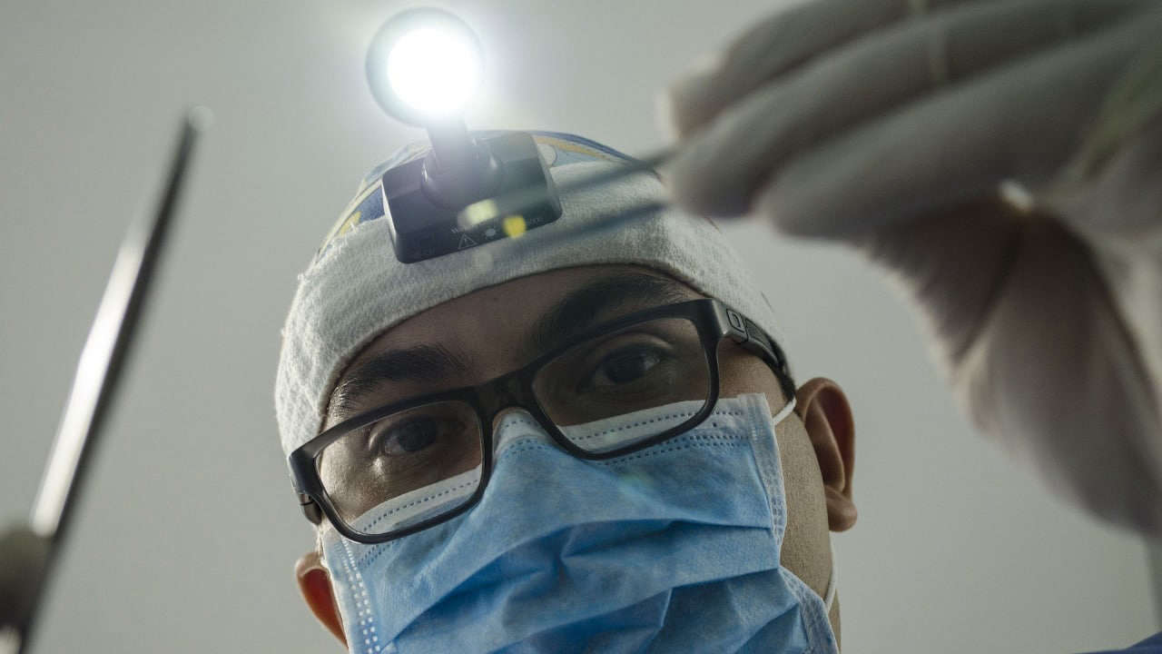 Зубной техник и экономка стали самыми высокооплачиваемыми профессиями в Москве