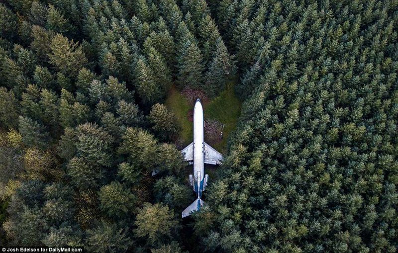 Американский пенсионер уже 15 лет живет в самолёте посреди леса жизнь в лесу, интересные люди, истории, люди, пенсионер, самолет, сша, фото