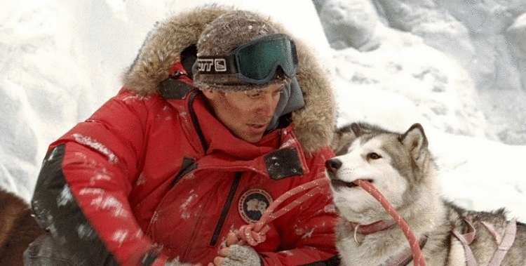 20+ советов по выживанию 