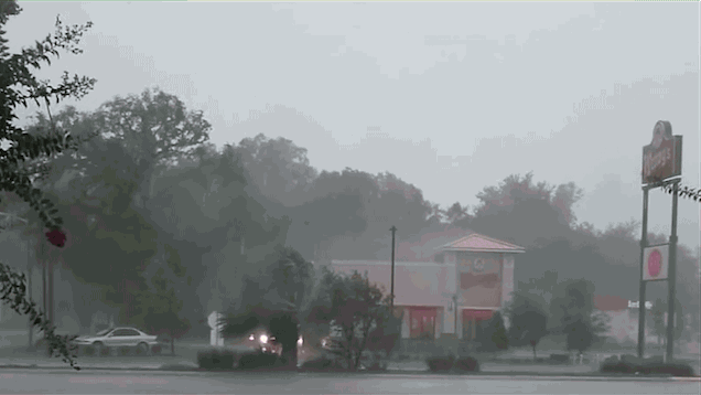 Завлекательные и зачетные гифки для поднятия настроения Завлекательные и зачетные гифки для поднятия настроения