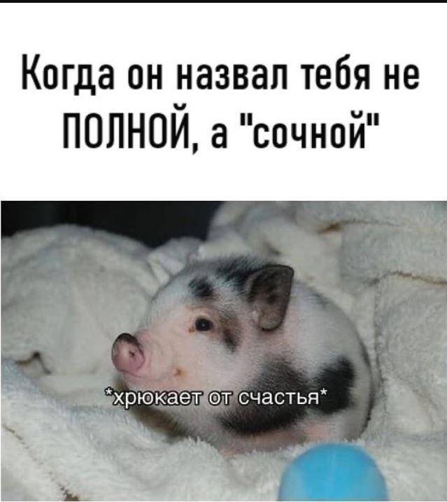 Из-за идиотов всё труднее жить дуракам — смешные картинки с надписями Из-за идиотов всё труднее жить дуракам — смешные картинки с надписями