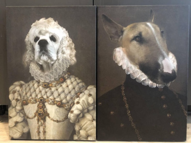 Подборка прикольных картинок  смешные картинки