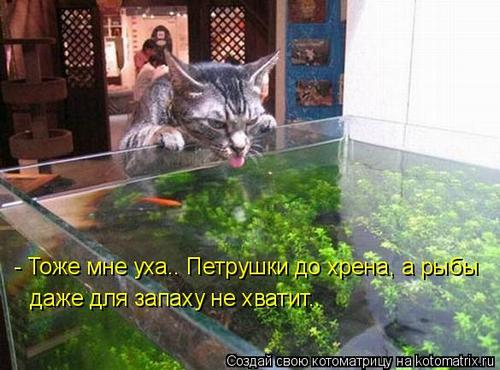 4743317_337136 (500x370, 40Kb)