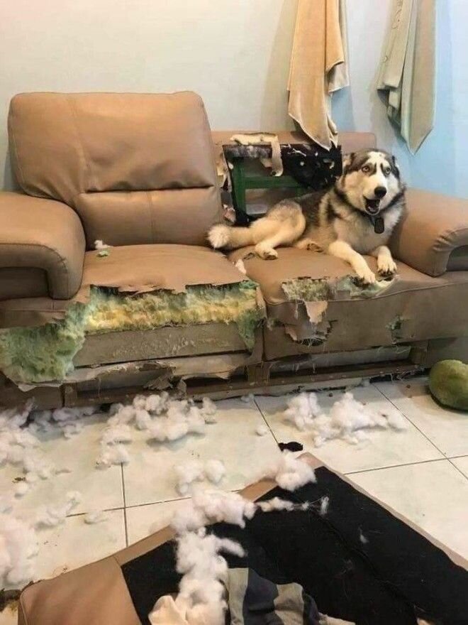 25 неудачников, которые не понаслышке знают, что такое "плохой день" 25 неудачников, которые не понаслышке знают, что такое "плохой день"