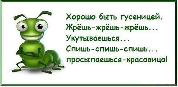 Смешные высказывания для хорошего настроения 