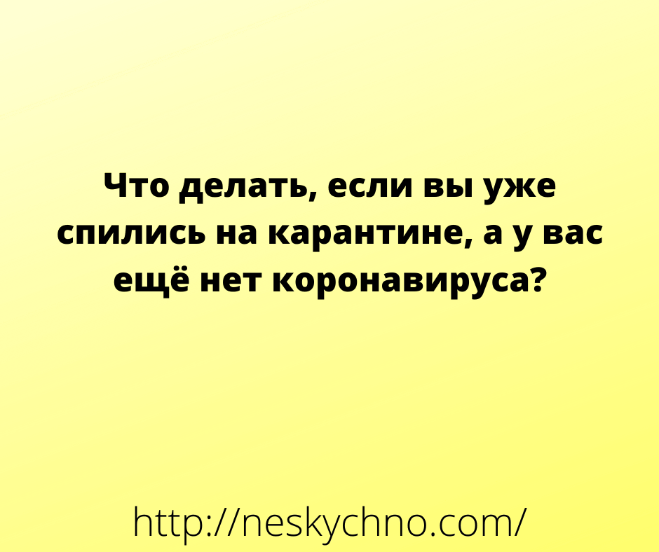 Немного отборных анекдотов для поддержания настроения 