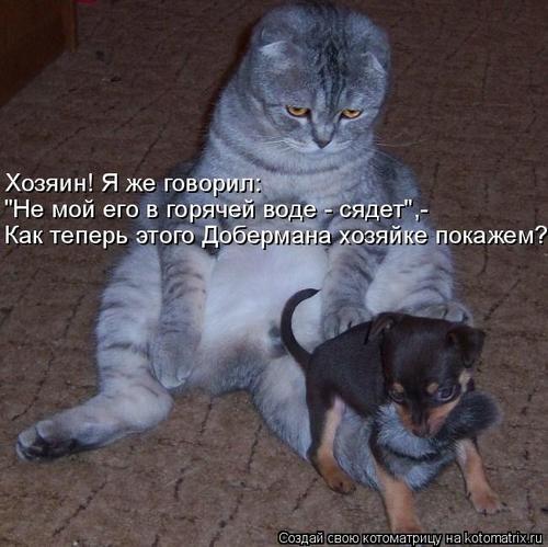 4743317_340838 (500x499, 42Kb)