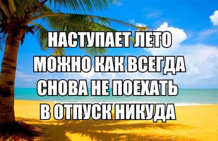 Смешные картинки приходит лето, осел бременские музыканты