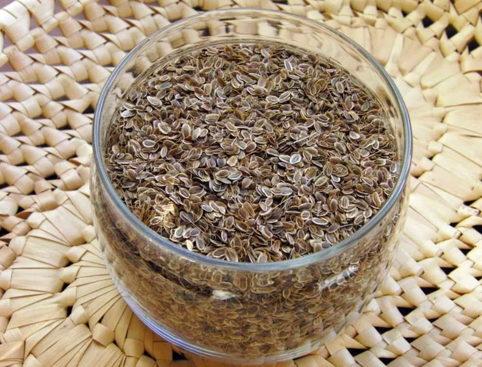 Глаза мои - хлеб мой! Как я катаракту укропом вылечила!