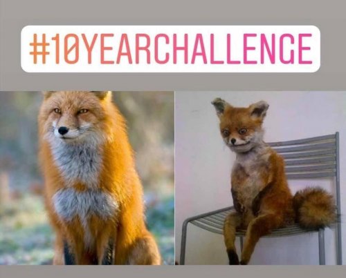 Такие прикольные картинки 2009/2019