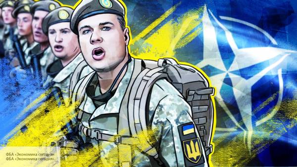 Капитан 1 ранга Дандыкин: Украина окажется в мышеловке из-за «бесплатного сыра» НАТО