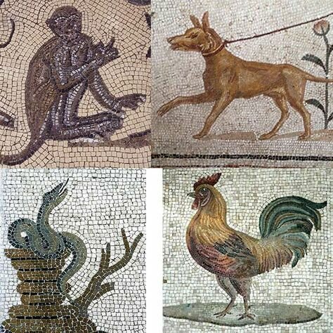 Кровь, пот и слёзы: Дикие истории из Древнего Рима Кровь, пот и слёзы: Дикие истории из Древнего Рима